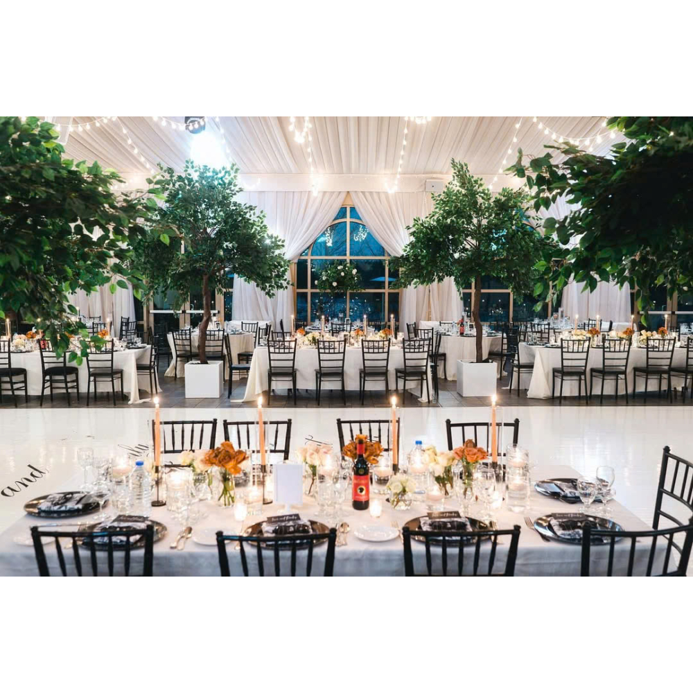 Black Chiavari Tiffany – Dịch Vụ Cho Thuê Ghế Sự Kiện Màu Đen Cao Cấp, Truyền Thống & Thanh Lịch