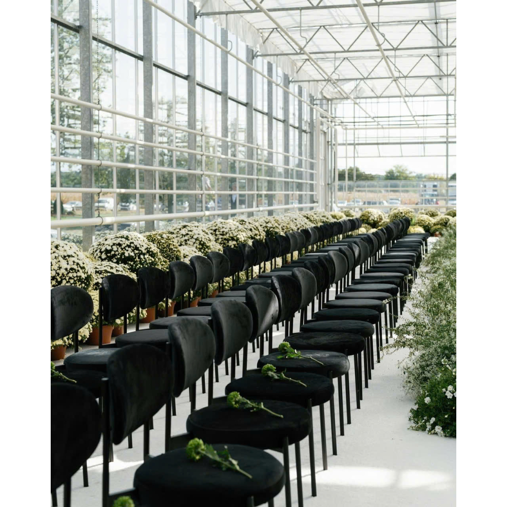 BLACK VELVET KHUNG ĐEN | VẺ ĐẸP HUYỀN BÍ TINH TẾ | GHẾ SỰ KIỆN CAO CẤP